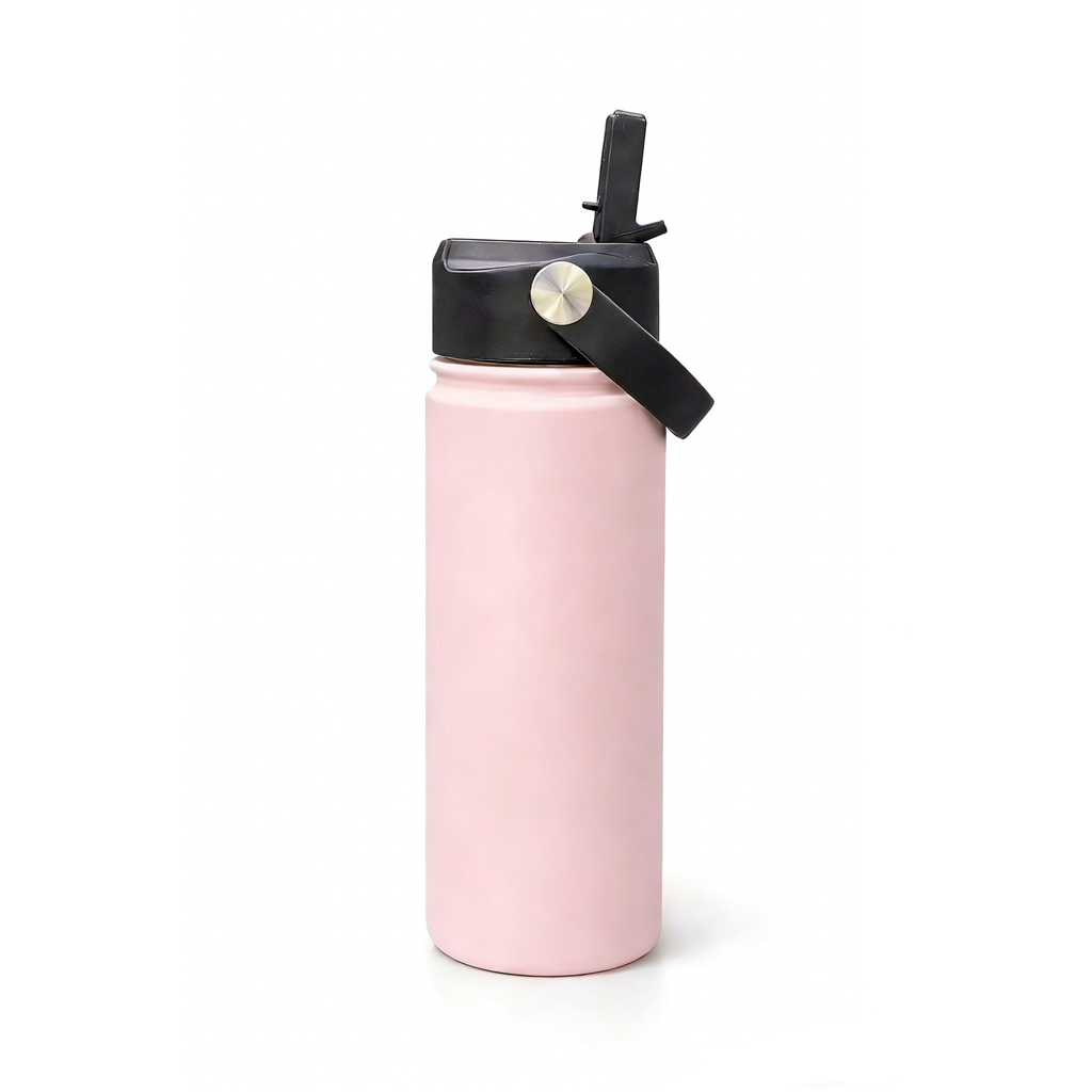 Gourdes "Road Trip" 500 ml