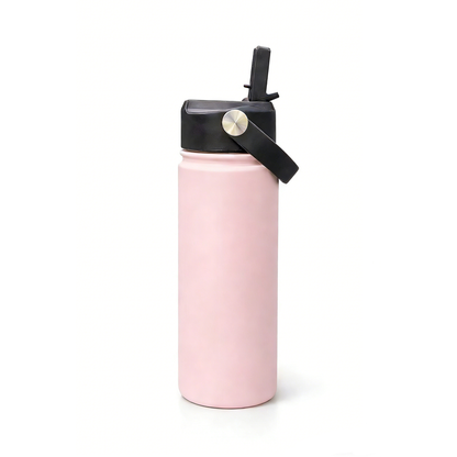 Gourdes "Road Trip" 500 ml