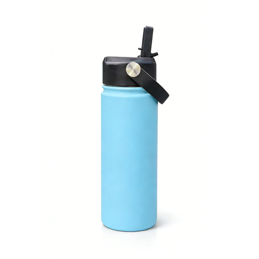 Gourdes "Road Trip" 500 ml