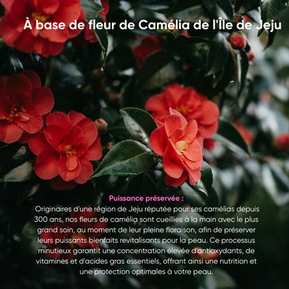 Masque liftant au collagène et à la fleur de Camélia "KB Lift" Korean Beauty 🇰🇷
